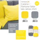 Schachenmayr Catania, Farbe 263 soft apricot